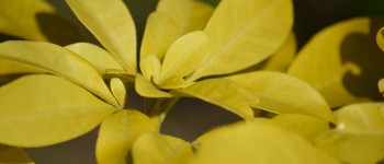 DSC_0026 DSC_0026