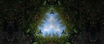 the hidden gems image cover the hidden gems image cover
